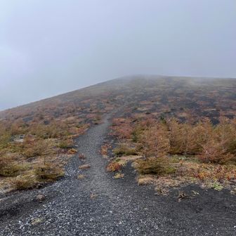 この先が二ツ塚上塚山頂へ
この登りがふくらはぎにくる〜