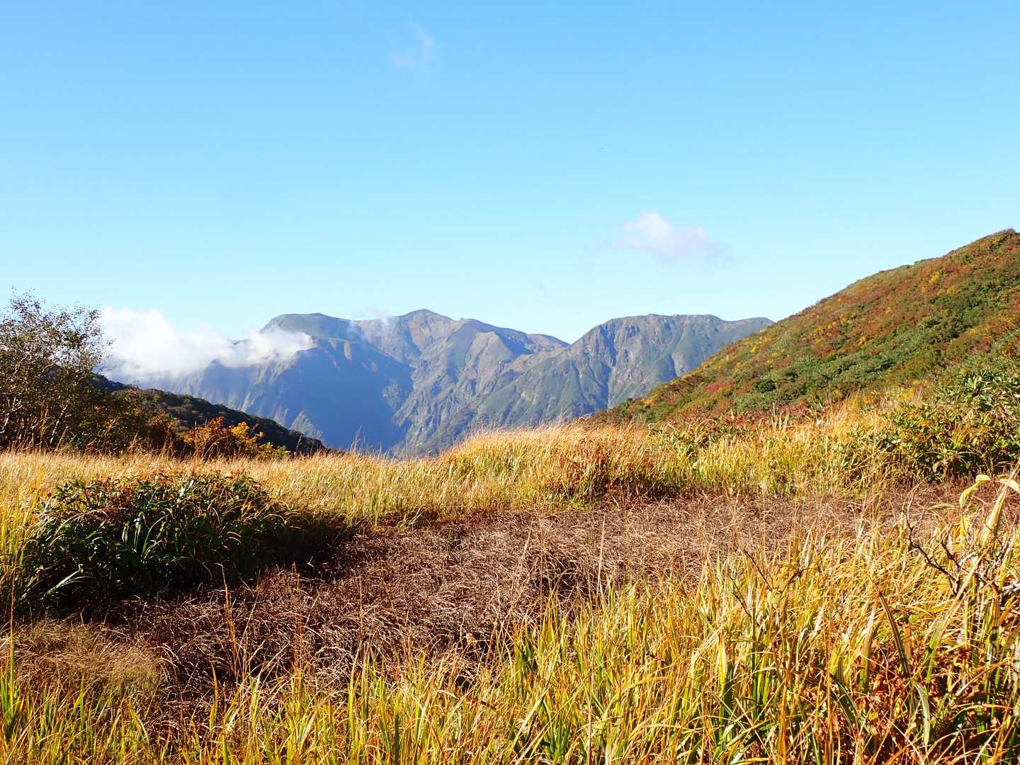 見覚えのあるご婦人とスライド！なんと水沢山の常連sanでした！グループで蓬ヒュッテ泊だったそうです。
そして池ノ窪池塘は枯れていた！