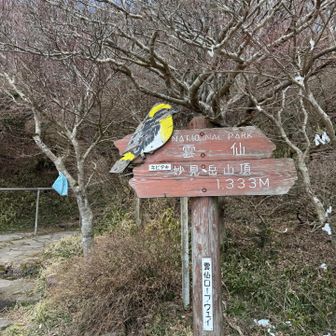 妙見岳駅でロープウェイ🚡を降りたらいよいよスタートです。