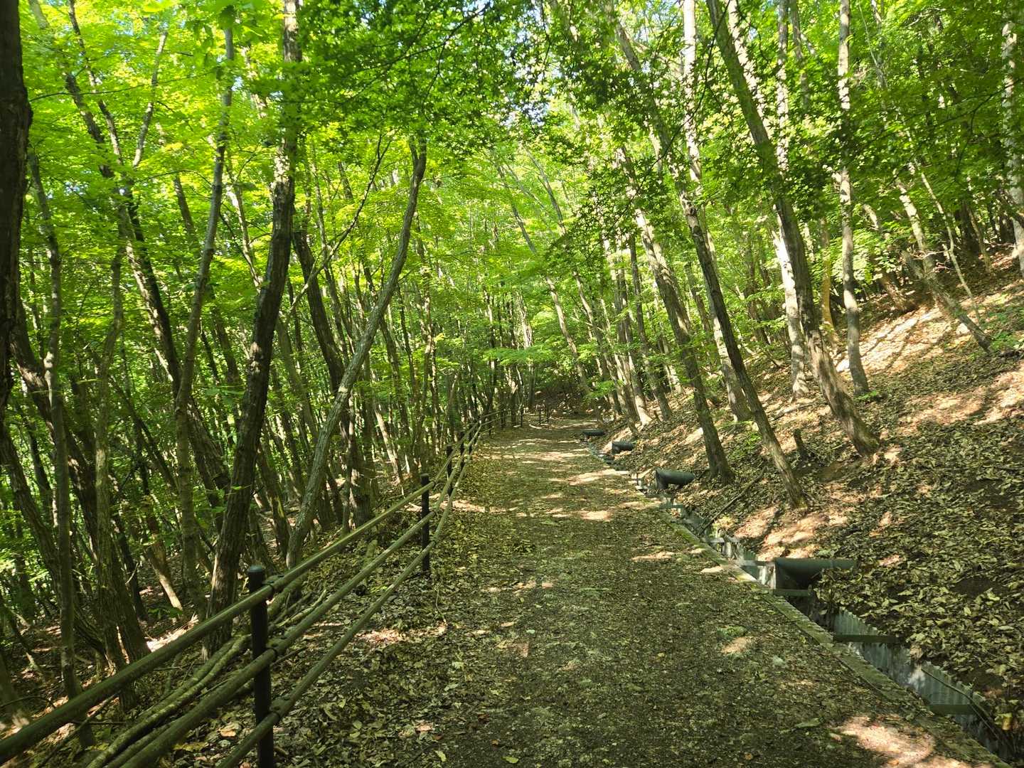 地附山 往復コースの写真