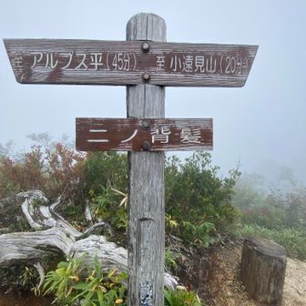 まだ45分もあるの！？