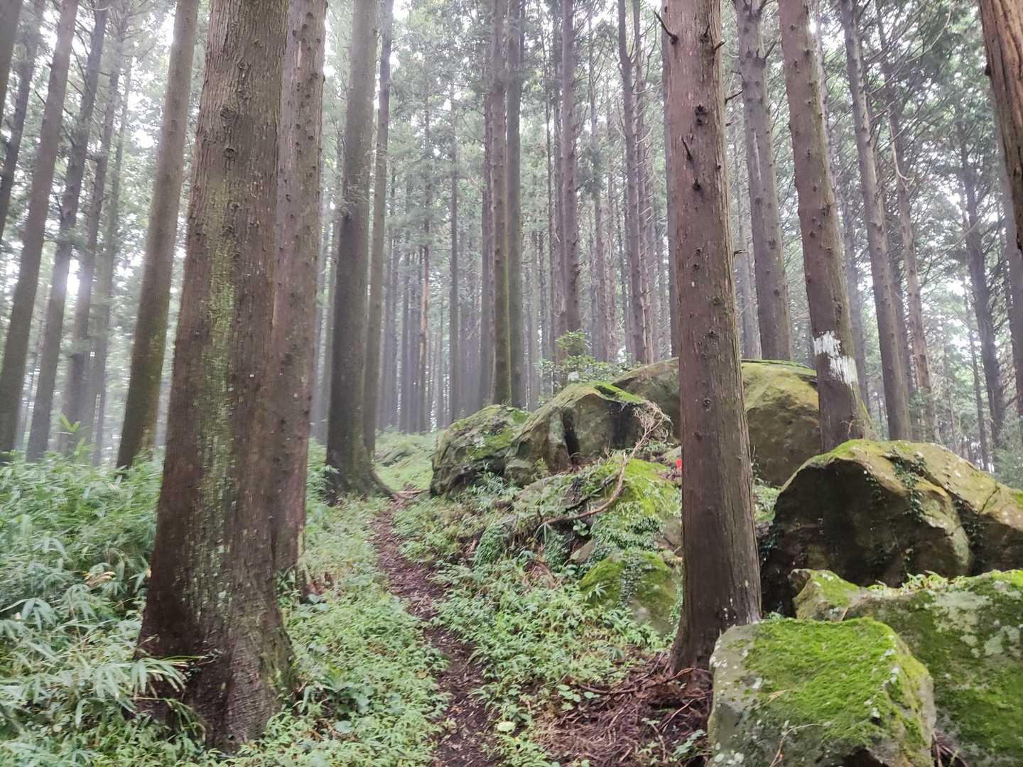大きな岩を通過。