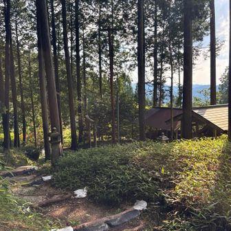 スタート直後の登山道📷