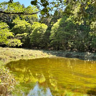 きのうまでの雨で、神の庭が神の池に。