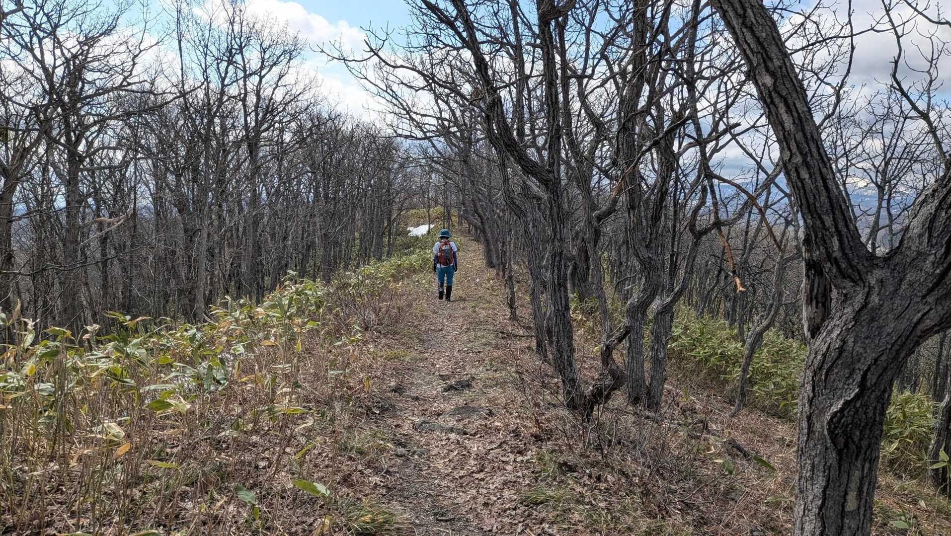 素敵な稜線✨️
葉が茂っていないので、周囲が見渡せます👁️‍🗨️