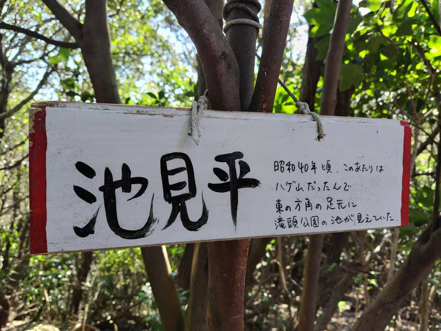 池見平は腰のあたり…
