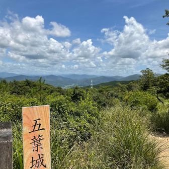 富士山は望めません