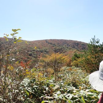 振り返るとさっきまでの道後山👀
道後山までは美しい稜線歩き🚶‍♀️ギャップがすごい