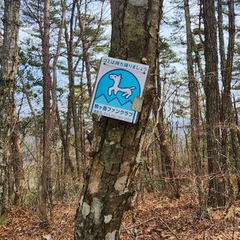 グレピ駒沢山へ寄り道
プレート見つからず💦