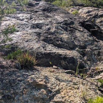 この地域独特の岩稜です
高坪山への急登