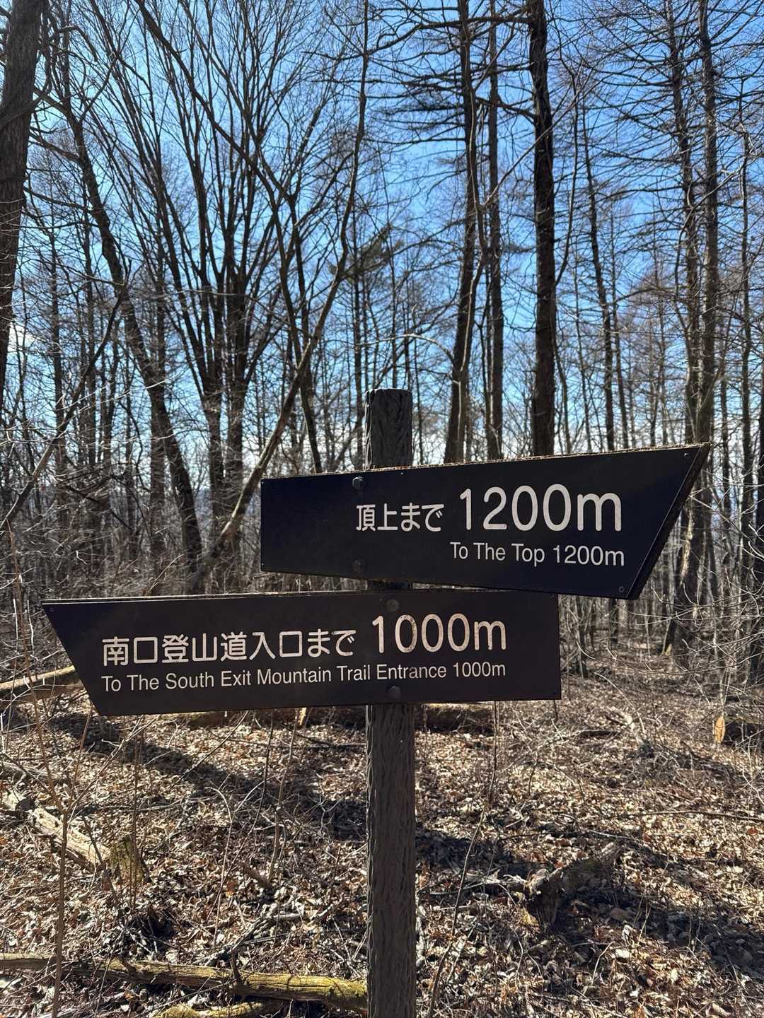 離山 周回コースの写真