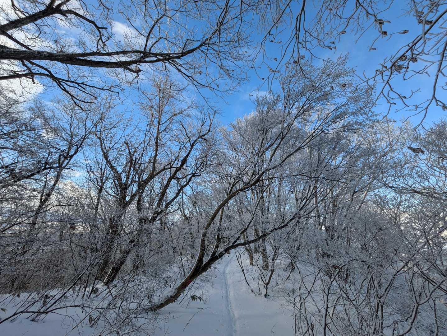 スライド1名
お話ありがとうございました( * . .)"