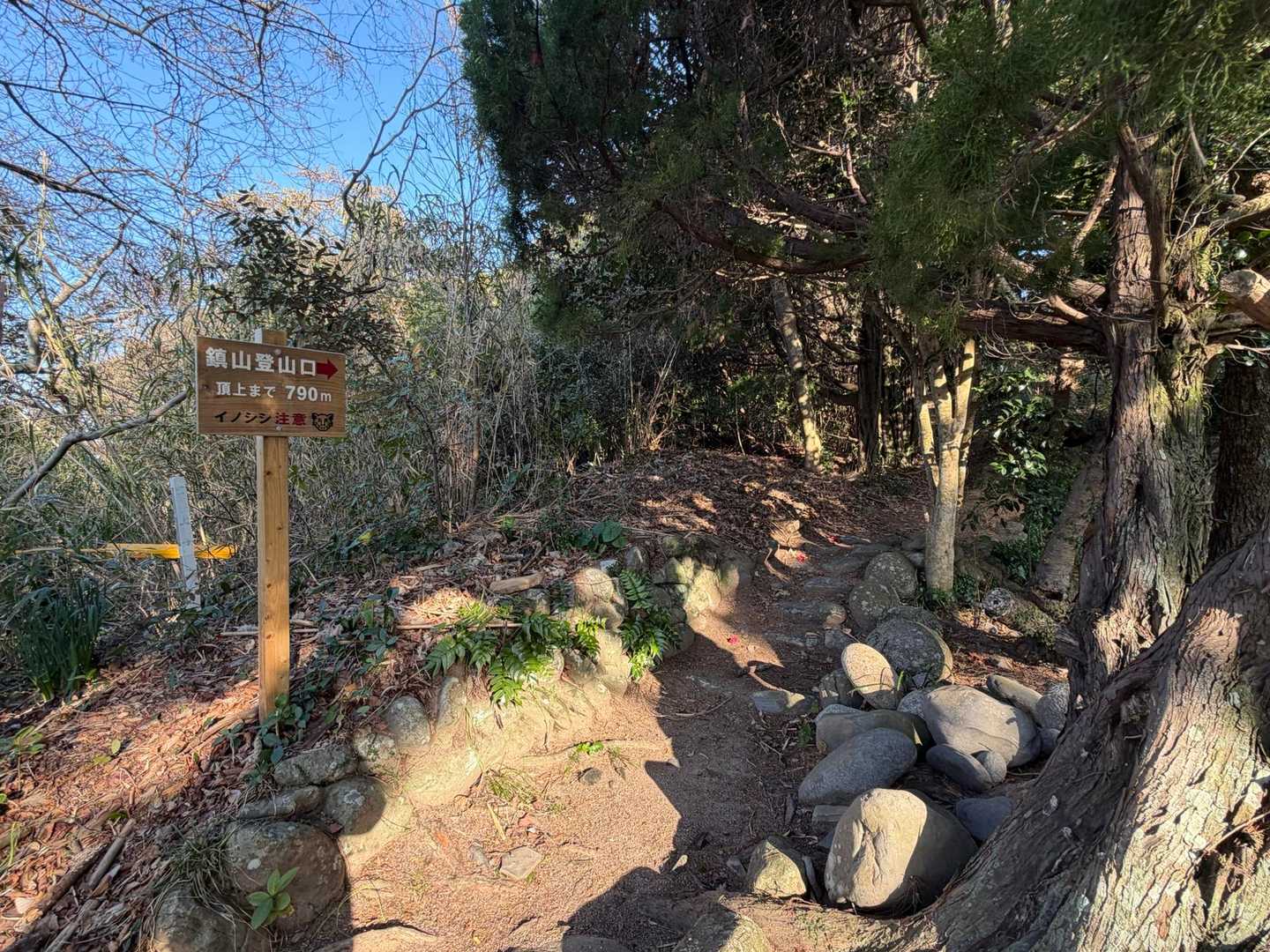 神社の脇にある登山口から山頂までは約1km
ルートは1本道で分かりやすい