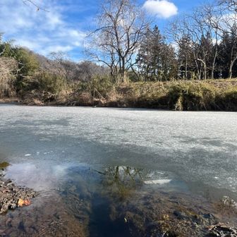 水面凍結率80%！パッと見アスファルトに見える。