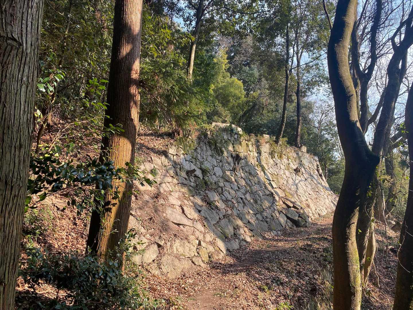 車道コース登山口-西コース登山口-蛇円山-東コース登山口 周回コースの写真
