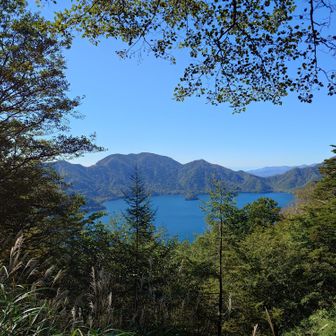 木々の隙間から、中禅寺湖が綺麗に見えます