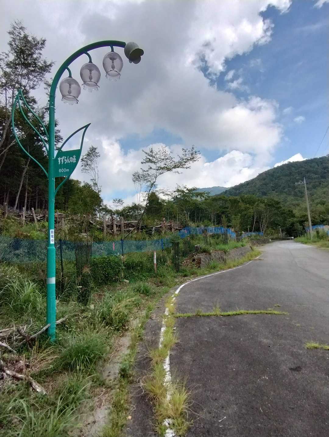 ジワジワ登りの車道歩きが長くてめげました🤣  そしてアスファルトの道路は蒸し暑くてヘロヘロになりました🥵