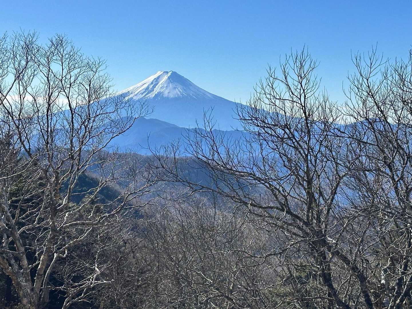 綺麗だねー