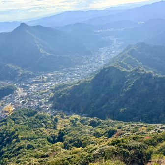 英岩からの景色
有田の大イチョウが見えます
