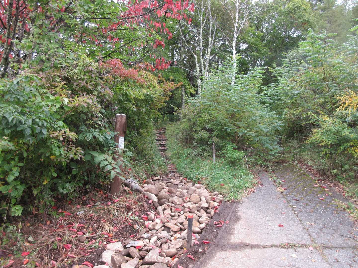 100曲がりコース登山口-茶臼山 周回コースの写真