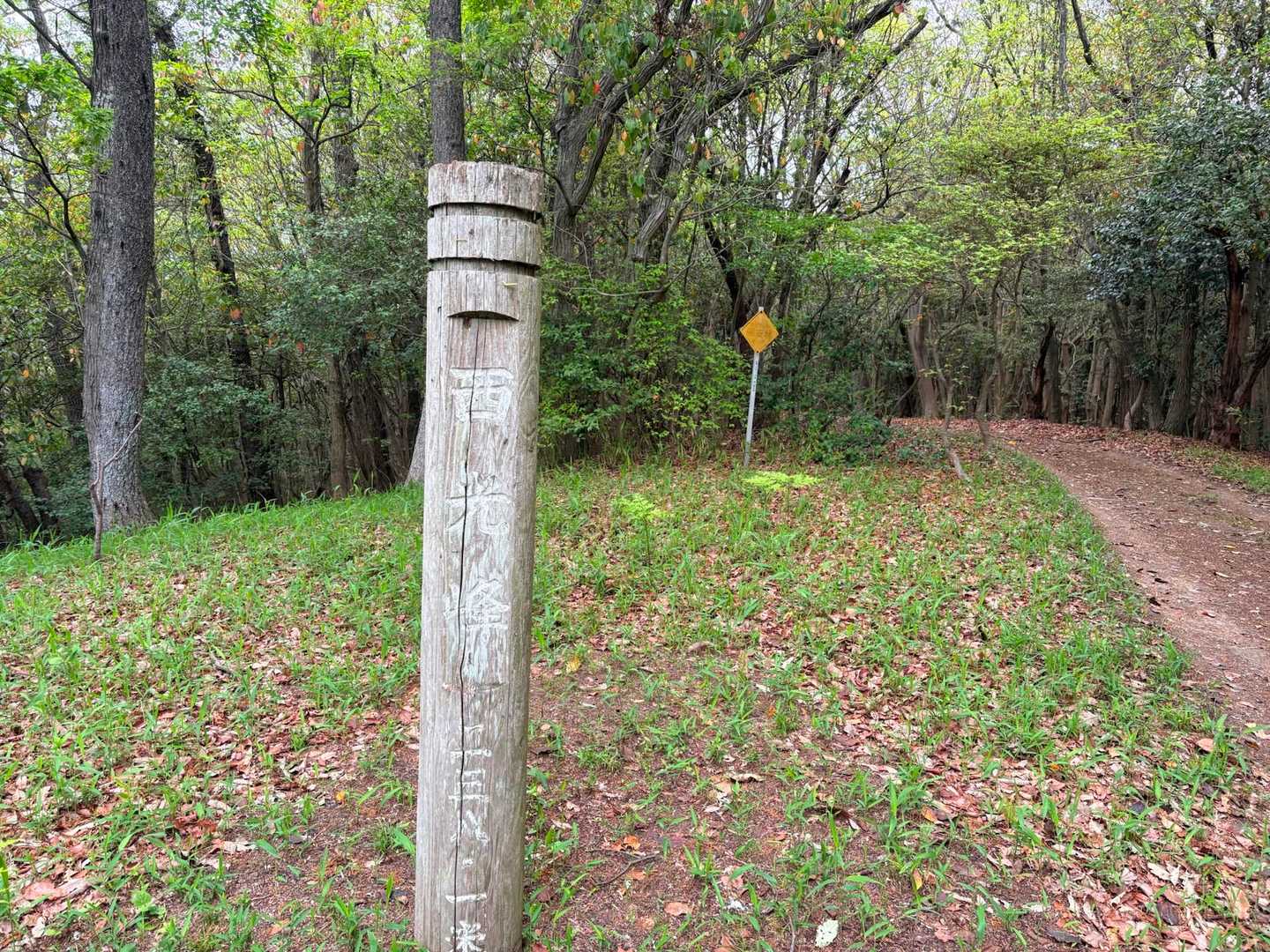 4分で⏰　③西光峰⛰️238.1m❗️