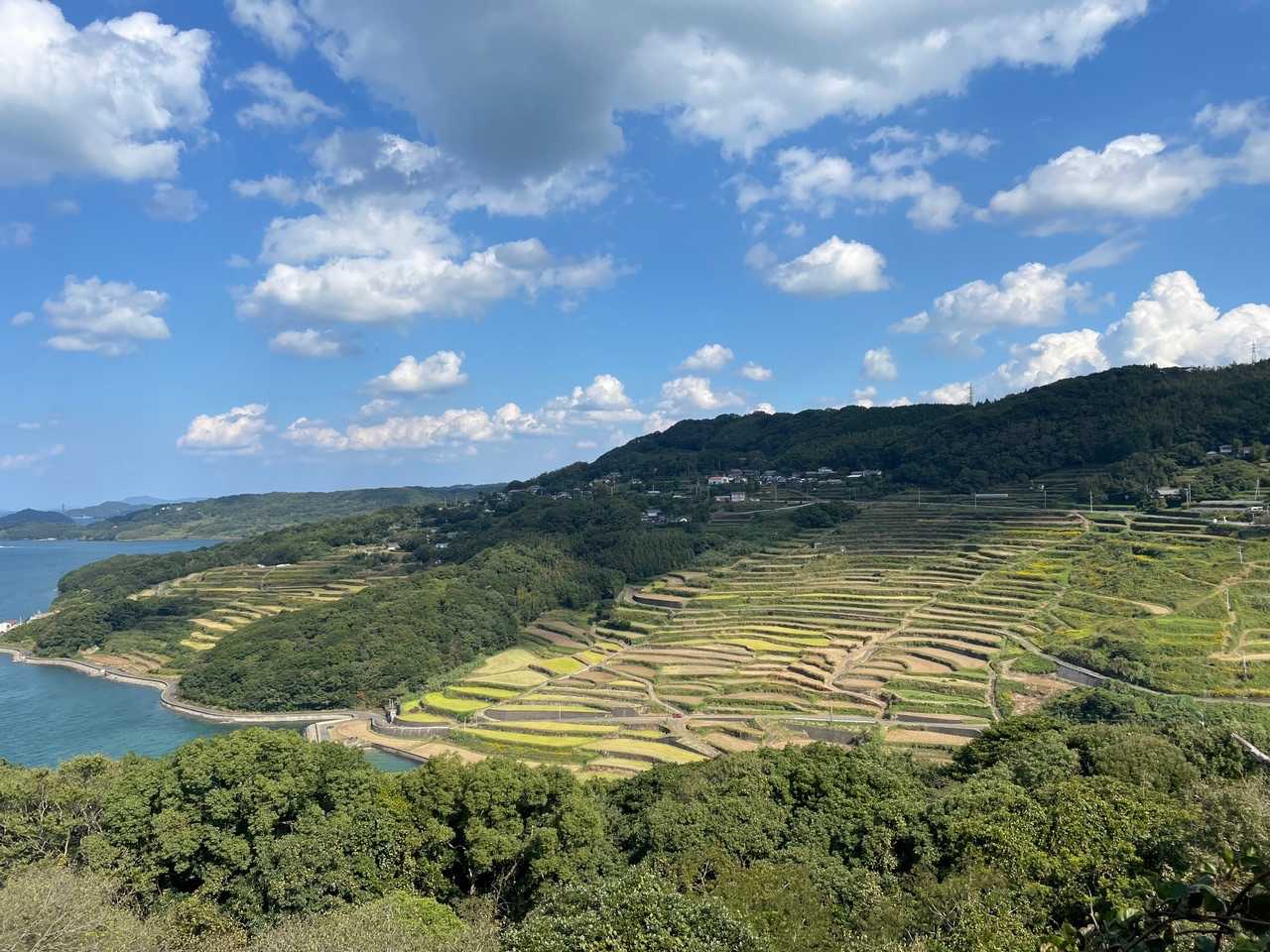 これです❗️愛宕山山頂からしか見ることが出来ない土谷棚田の全景😆これは素晴らし過ぎます‼️
この景色が見られるのなら、藪、ノープロブレムです😆
