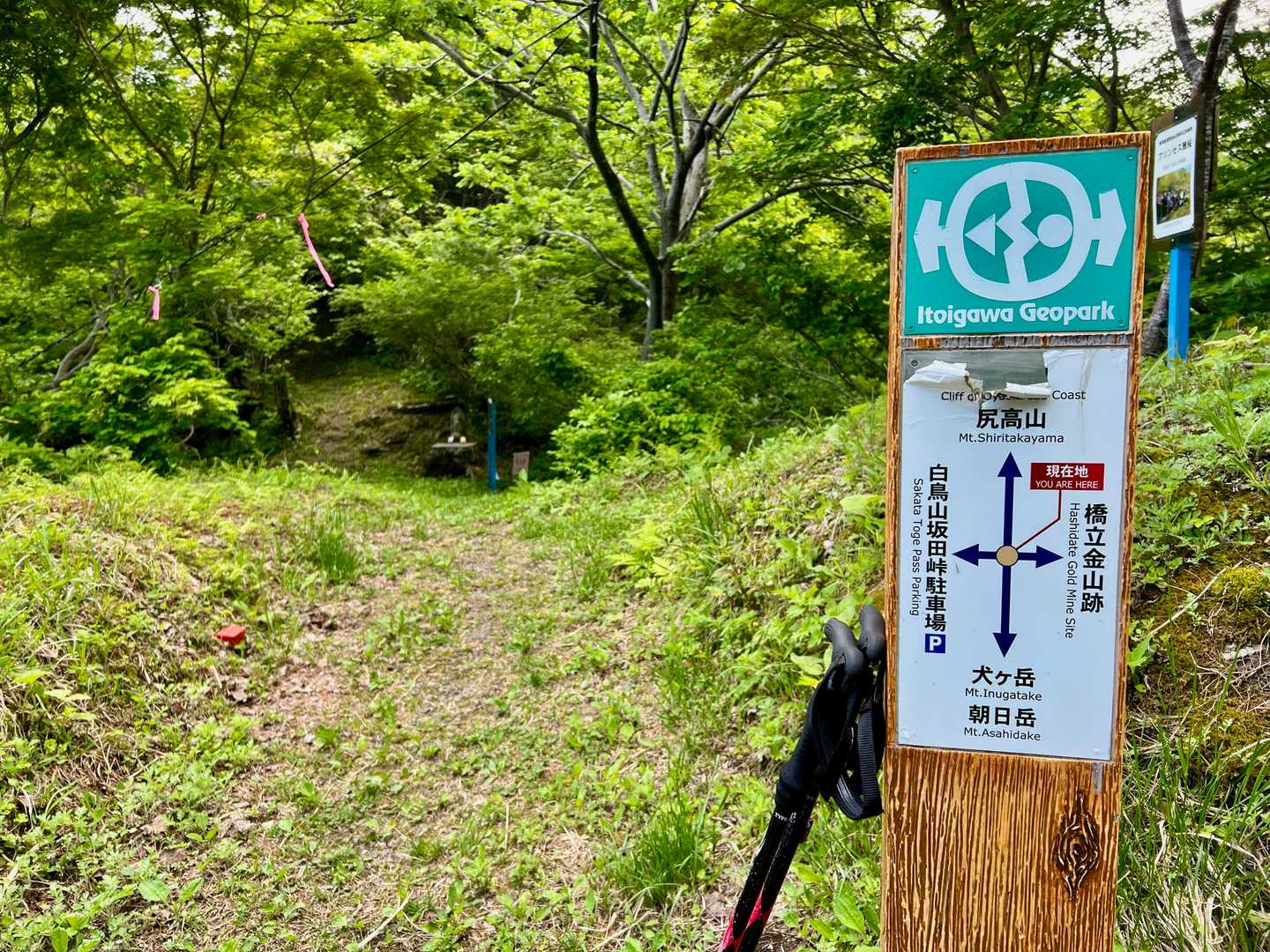 少し離れて坂田峠をもう1枚。今日はここまで。次回はここから白鳥山方面へ行ってみようと思った。
ピストンはちょっと面白くないと思ったので、ここから林道を歩いて、先ほどの工事中の地点を目指すことに。