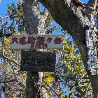  取り付きの後の分岐がわからずウロウロしましたが無事に見つけられ登頂できました😅
眺望ありません  行き止まりです
下りで強者のおじちゃんに出会いお話しを聞くと
ここから道なき道を進まれるとか…😱‼️貴女は危ないから行ったらダメだよって…ﾊｲ 私は行けません😰