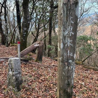 大界木山
今日一有名？ピーク