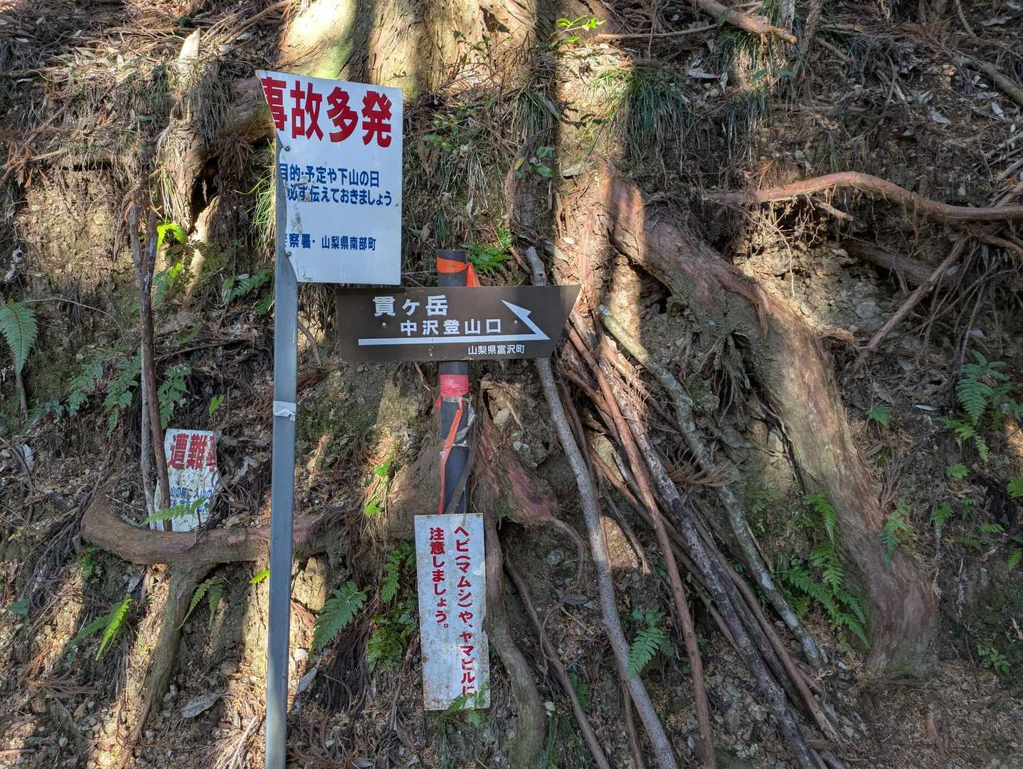 ヤマビルがいない季節に登る山だと思っています😆
