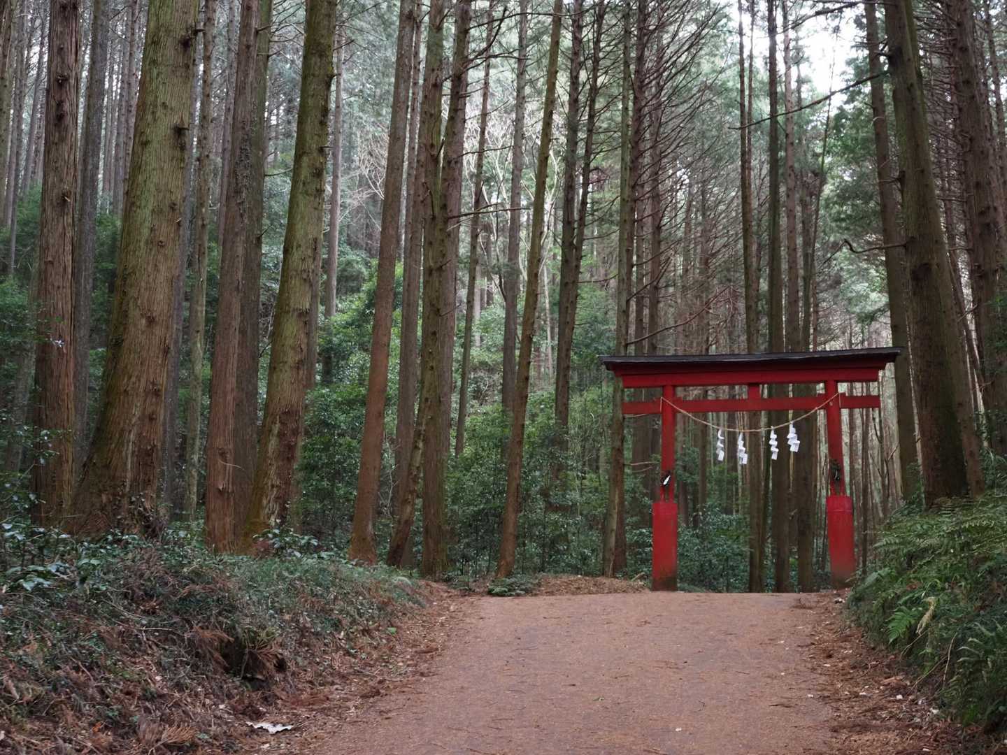 今日は晴れるんじゃなかったっけ？