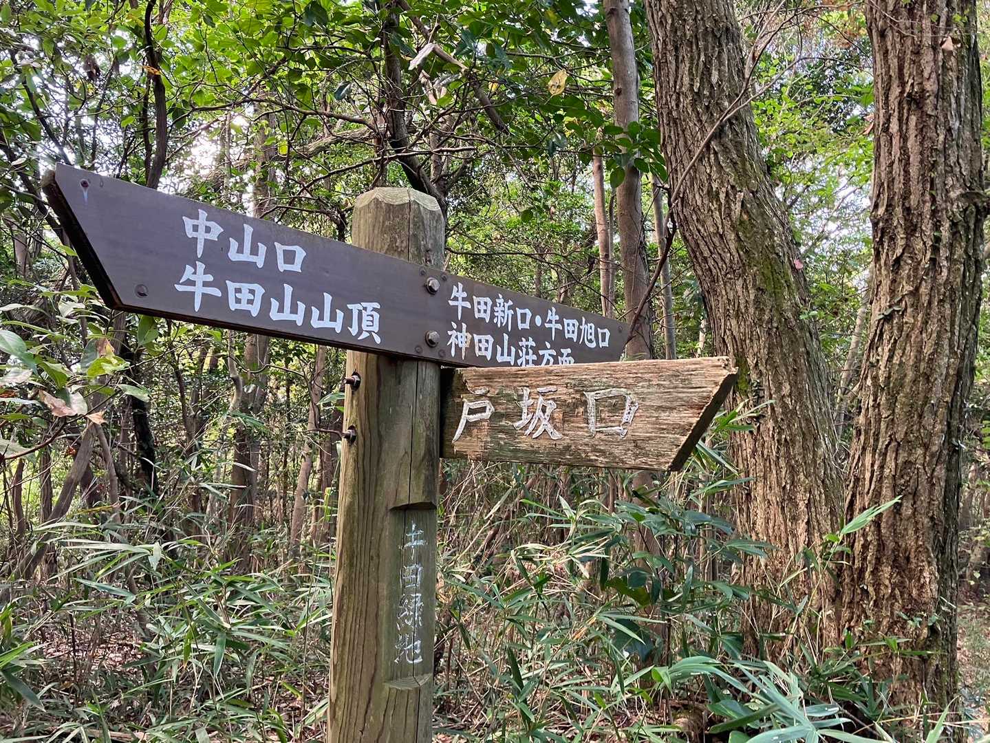 下りの途中にて。この後は話しながら降りたので写真ナシ。今日も無事に歩けて良かったです！