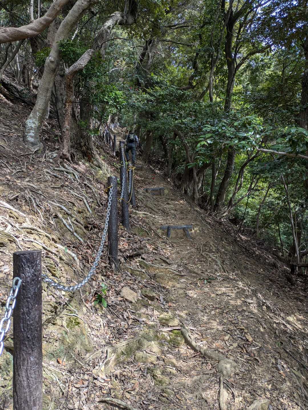 左側滑り落ちないようにずっと鎖が設置されてて登山者に優しい〜ありがたいですね〜