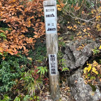 ここが三角点ポイント（白糸の滝四等三角点）
暫し捜索したものの😅