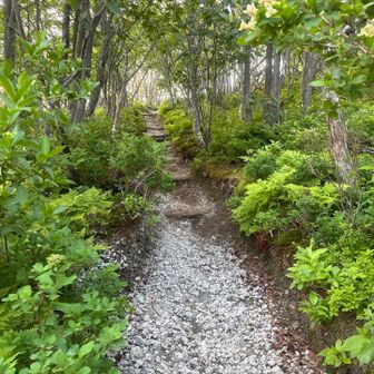 再整備されてから登山道を歩くのは初めて
5時前でも七合目駐車場には多くのクルマ