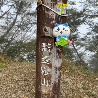 かなり痛んでる