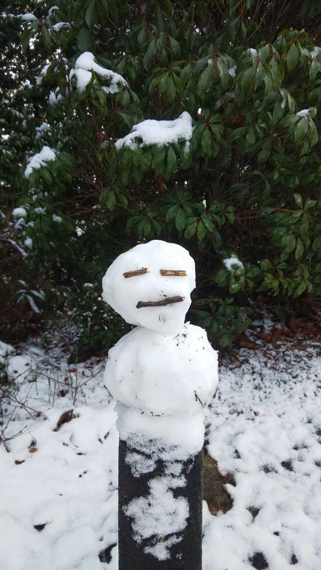 雪だるま⛄️作ってみた‼️
思ったより不細工やった😱