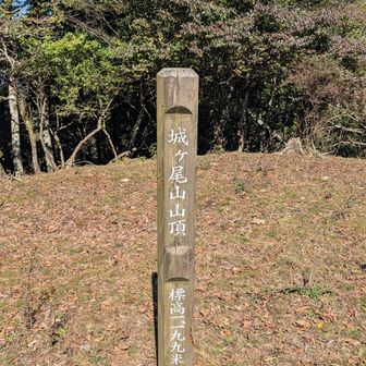 4ピークめ