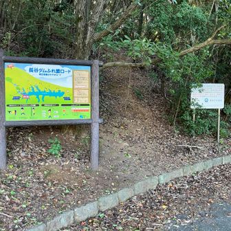 秘密の登山口から山へ