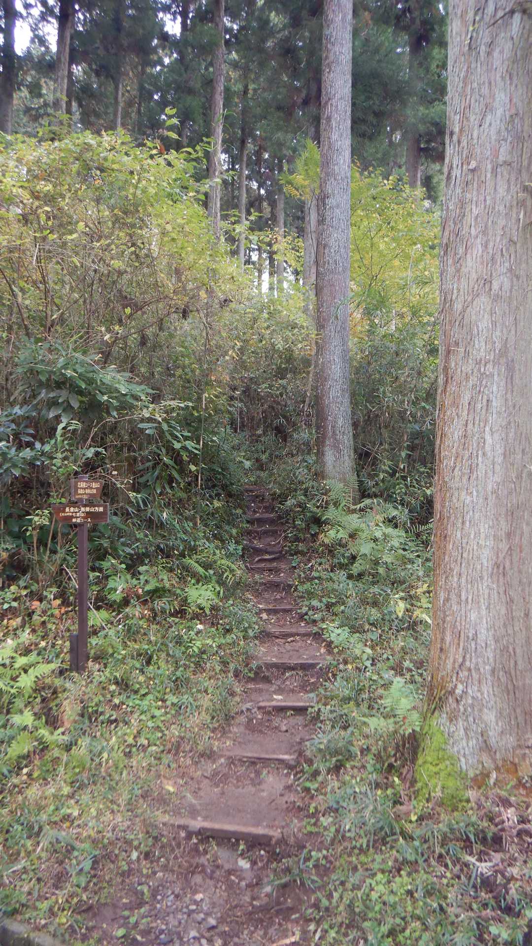 さて、出発します🚶‍♂️