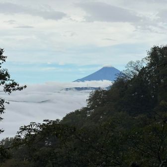 富士山が見えるけど、もっと上に行くか別のところに行かないと、ちゃんと見えない