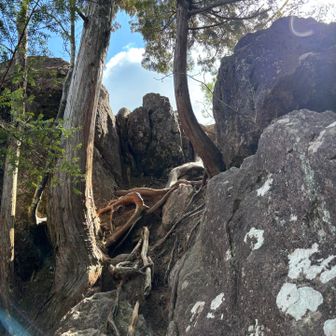 ここから岩を登ると瑠璃山の最高点。なんの案内も無かったので、教えてもらわなければ見つけられなかったかも🙄