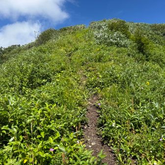 登りきれば富士見峠