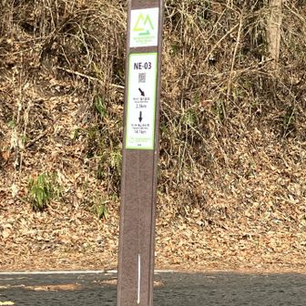 山道終わりです