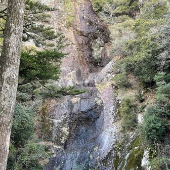 見に来てほしいわぁ(๑˃͈꒵˂͈๑)