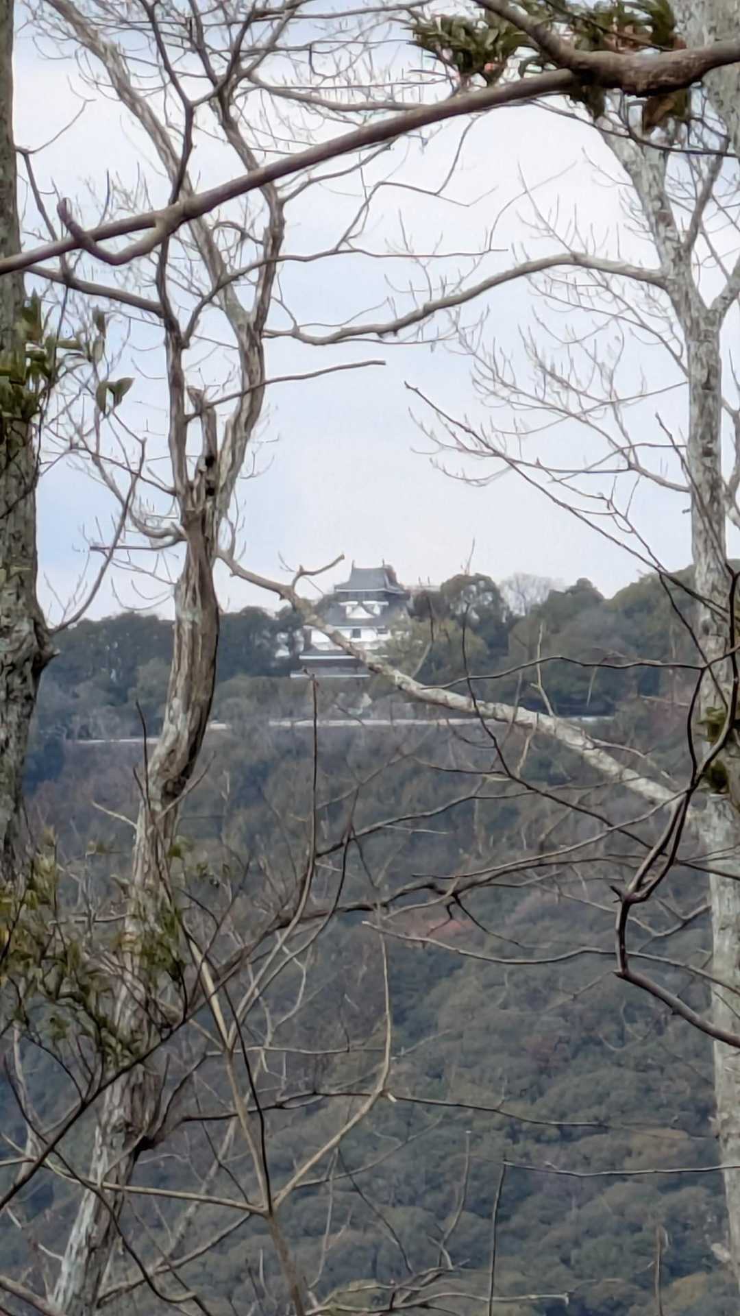 岩国駅-フレスタモールカジル岩国バス停-平家山登山口-岩倉 縦走コースの写真