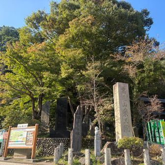 紅葉にはまだ早い🍁