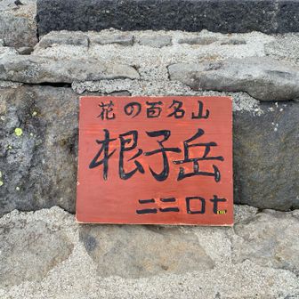 花の百名山根子岳2207m