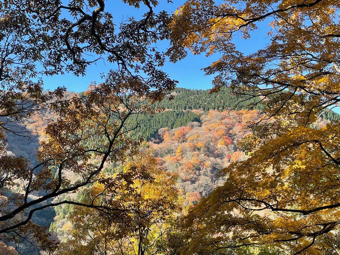 三方山-小倉山 往復コースの写真