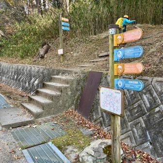 綺麗に整備されています。